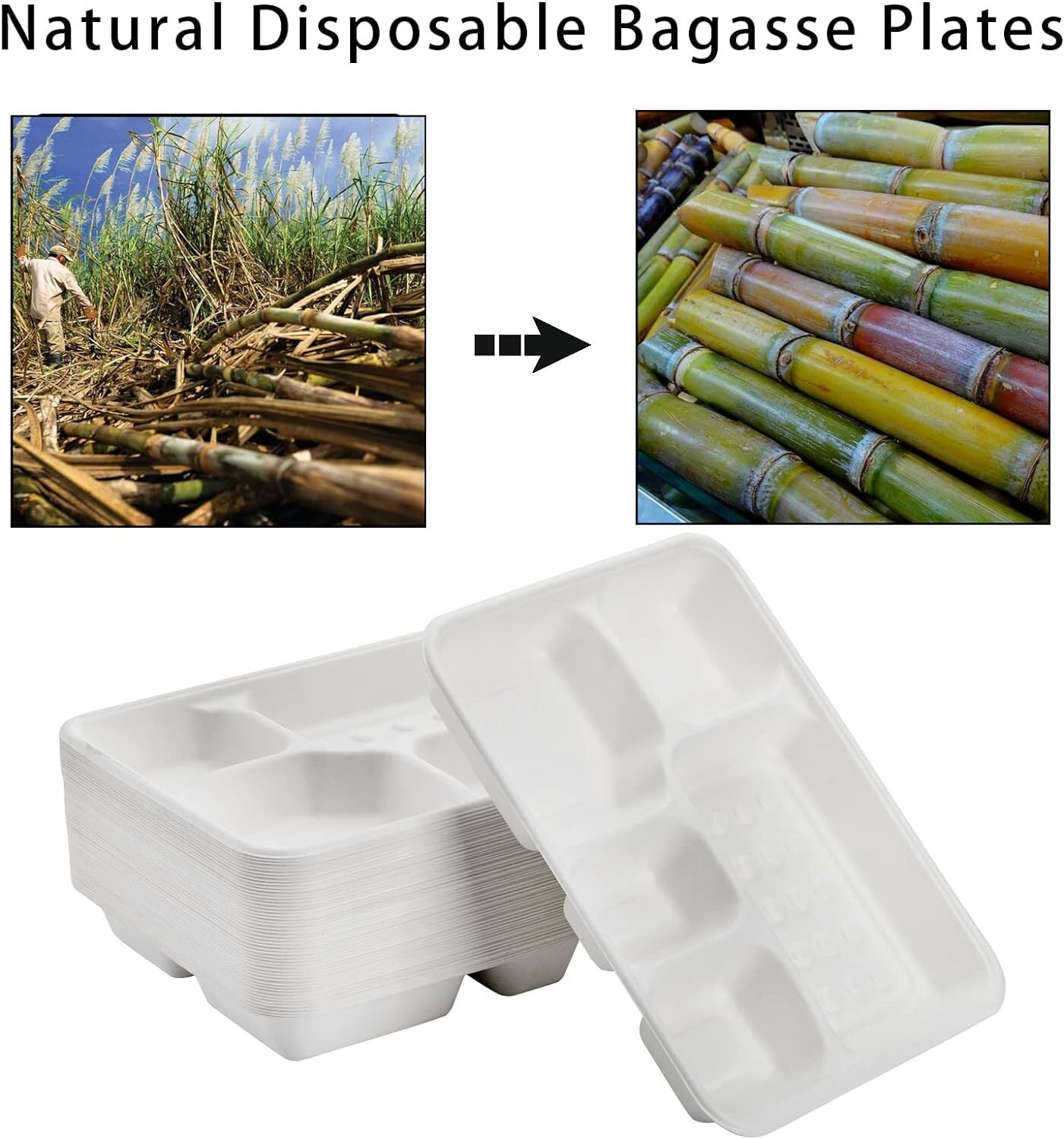 240pcs Sugarcane Bagasse DEEP 5 Compartment Lunch Paper Tray Plates 28x22cm Bulk-3