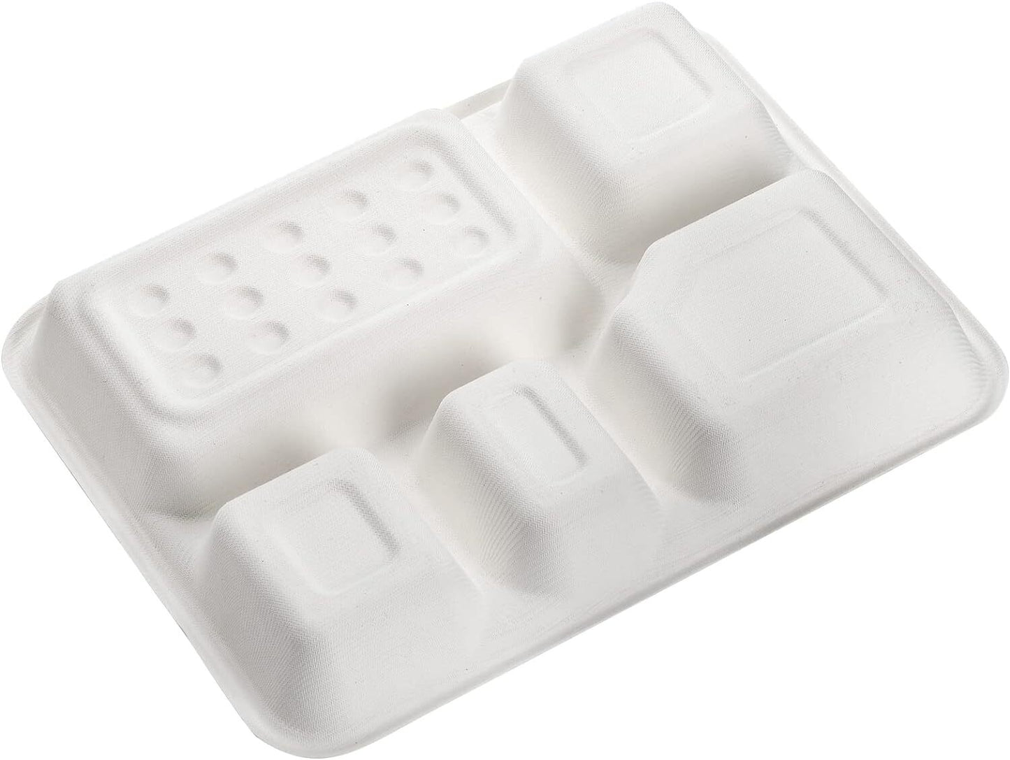 240pcs Sugarcane Bagasse DEEP 5 Compartment Lunch Paper Tray Plates 28x22cm Bulk-4