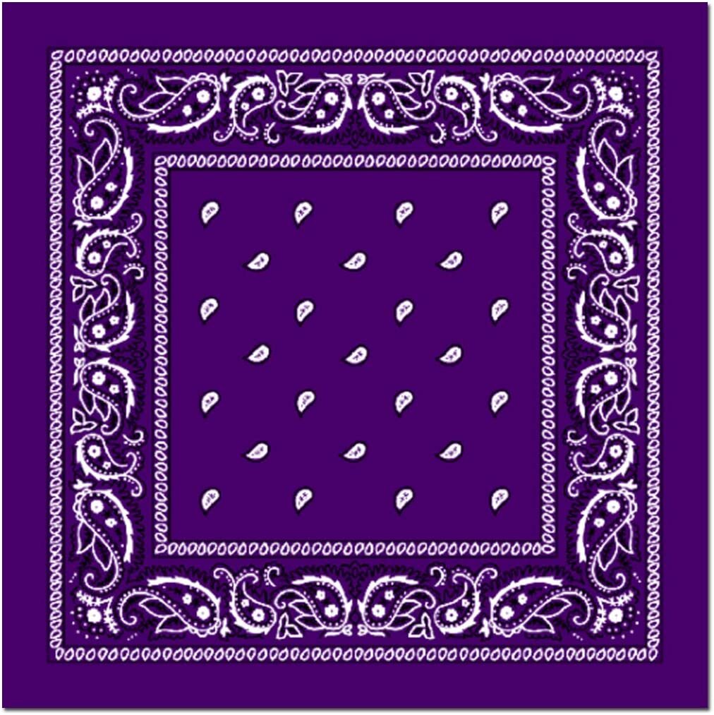 BANDANA Paisley 100% COTTON Head Wrap Durag Bandanna Summer Biker Scarf Mask-29
