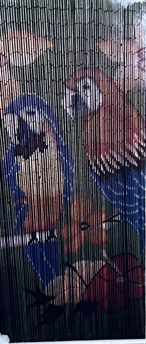 Deluxe Bamboo Door Curtain PARROTS Room Divider or Wall Art 90cm x 200cm