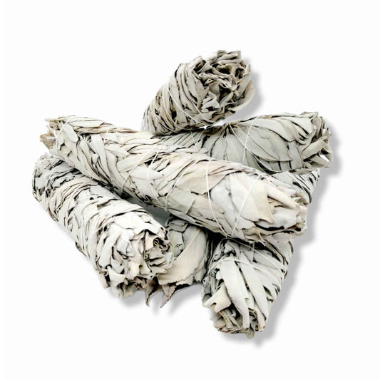 Bulk Californian White Sage Smudge Sticks Jumbo 20-22cm Incense Cleansing Bundle-0