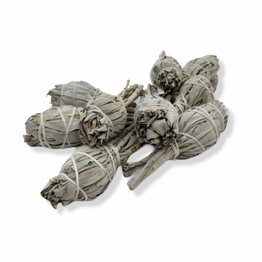Bulk Californian White Sage Smudge Sticks Mini 10-12cm Incense Cleansing Bundle-0