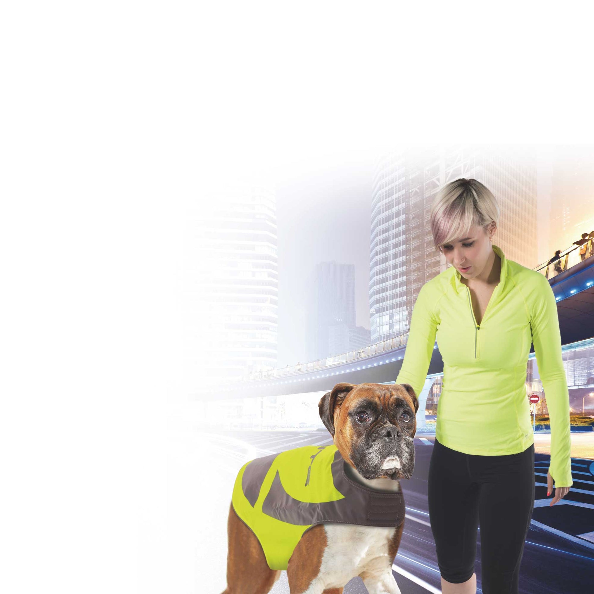 Dog Reflective Jacket Hi Vis Vest with Light Up Pendant for Small Breed Dogs-3