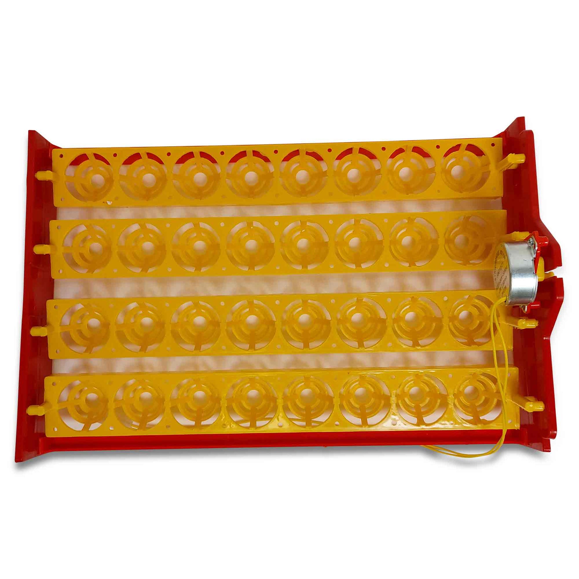Electric 32 Egg Incubator + Accessories Hatching Eggs Chicken Quail Duck-4