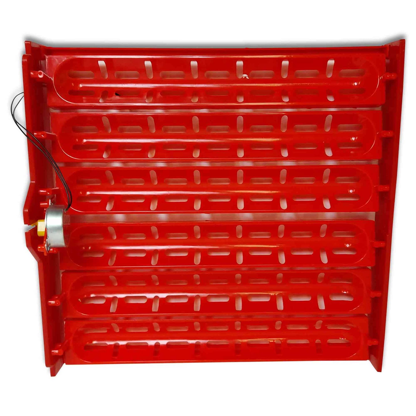 Electric 60 Egg Incubator + Accessories Hatching Eggs Chicken Quail Duck-3