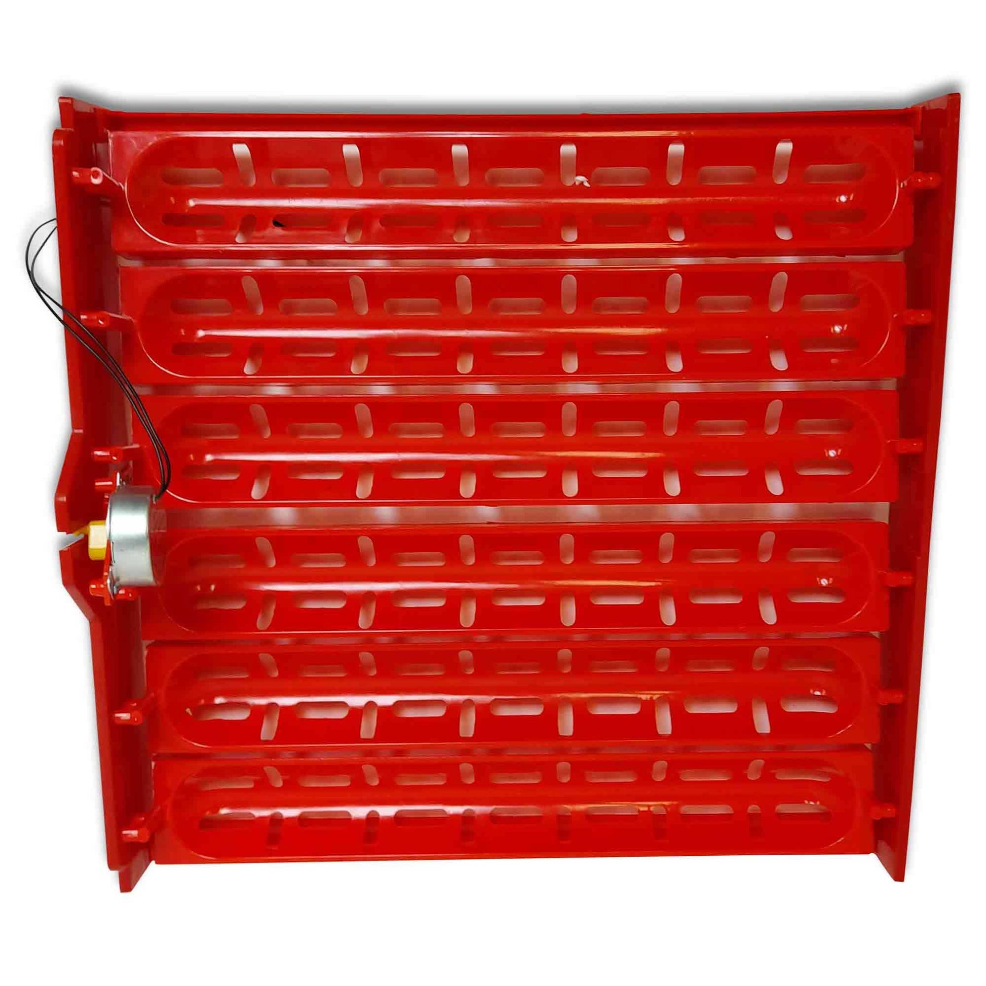 Electric 60 Egg Incubator + Accessories Hatching Eggs Chicken Quail Duck-3