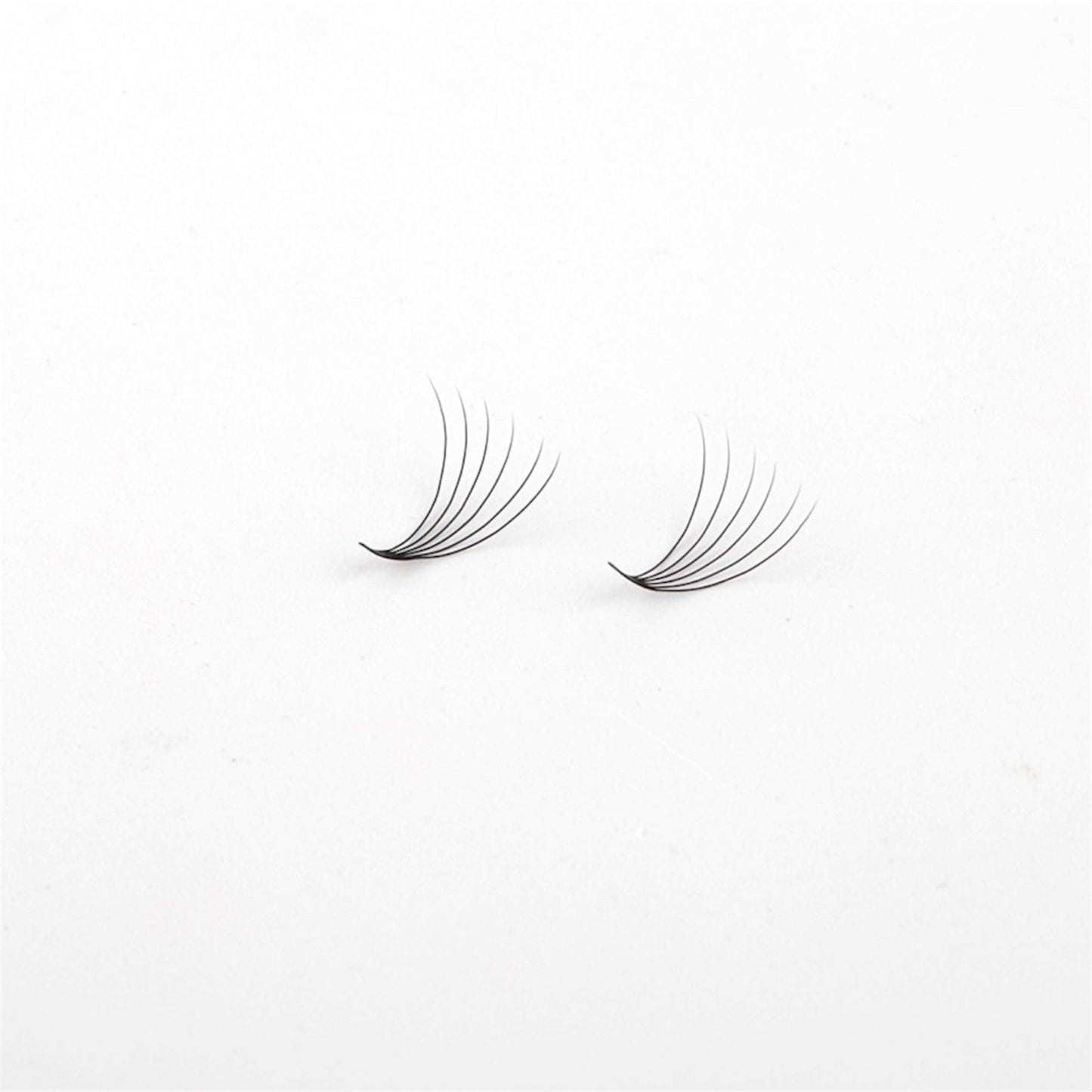 Miosh Eyelash Extensions - XL 6D Premade Volume Short Stem Lash 0.07 / D CURL-4