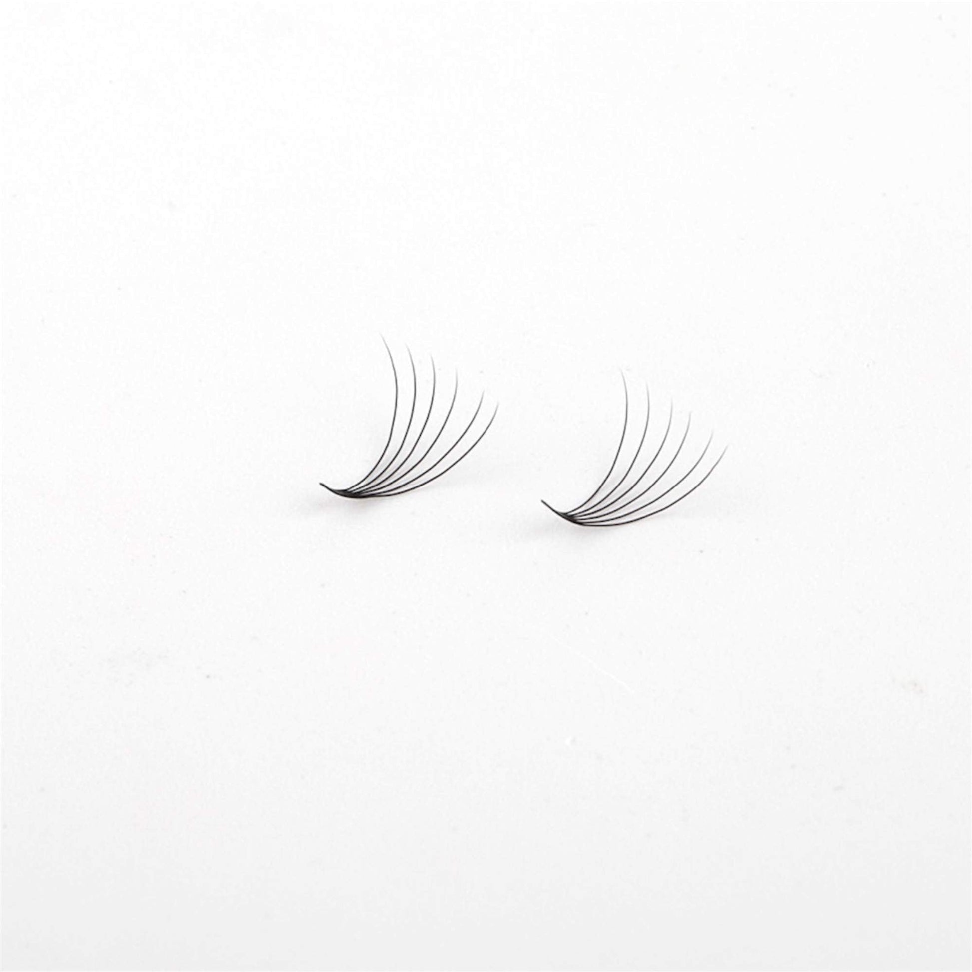 Miosh Eyelash Extensions - XL 6D Premade Volume Short Stem Lash 0.07 / D CURL-4