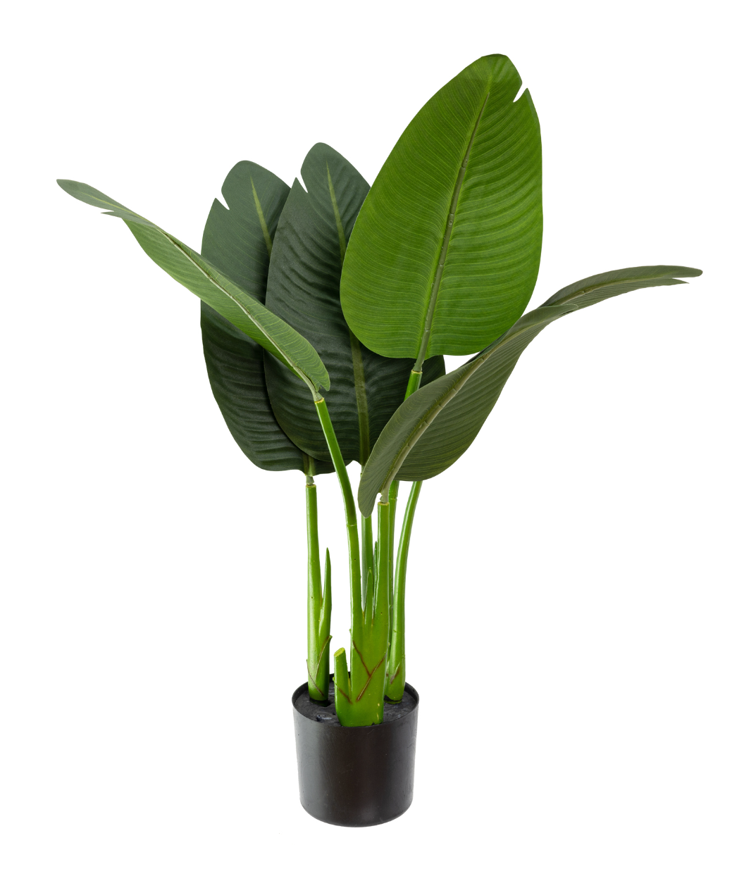 80cm Potted Faux Traveller Plam with 6 Leaves Artificial Flower Plant Décor-0