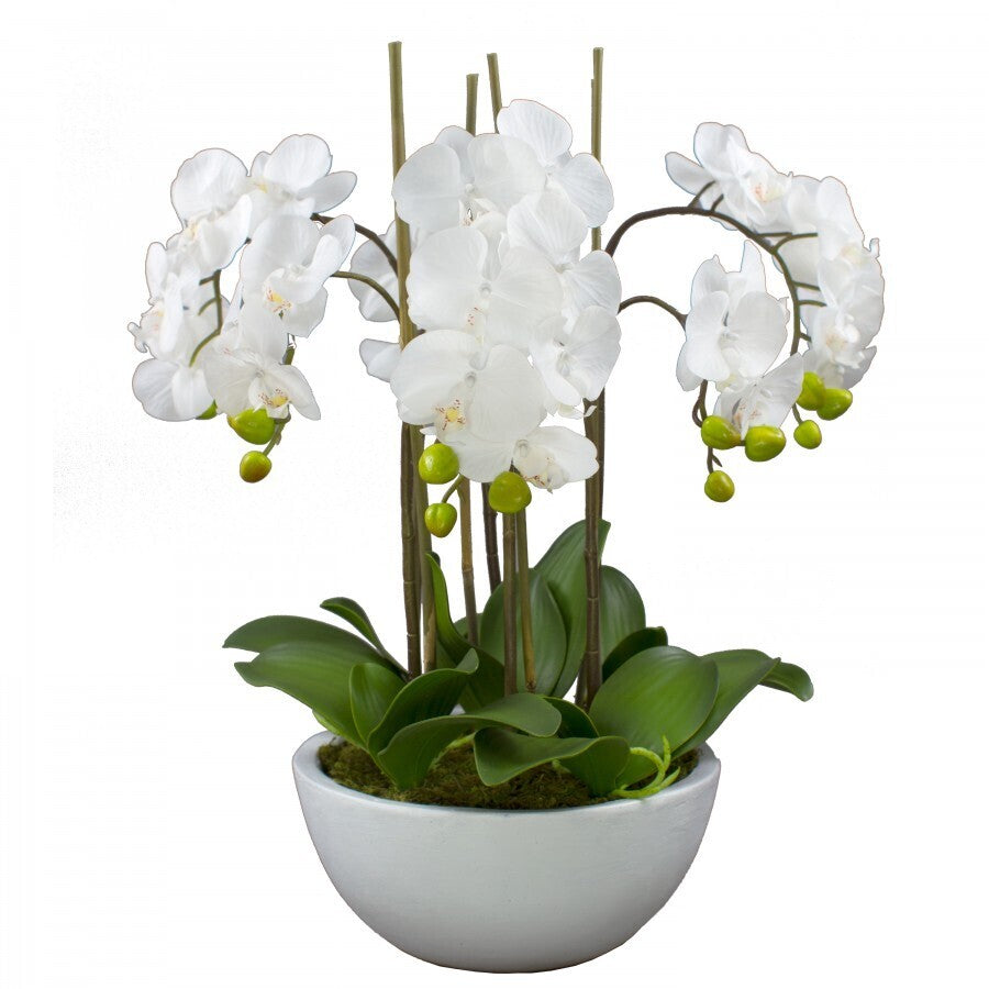 55cm Faux Phalaenopsis Orchid in Pot Artificial Plant Flower Home Office Decor-1