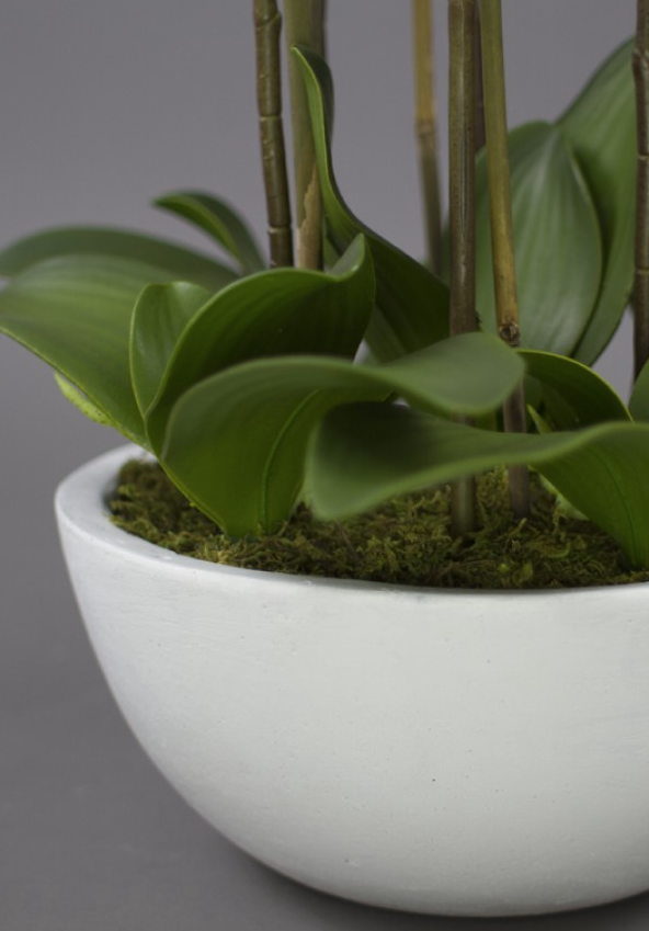 55cm Faux Phalaenopsis Orchid in Pot Artificial Plant Flower Home Office Decor-3