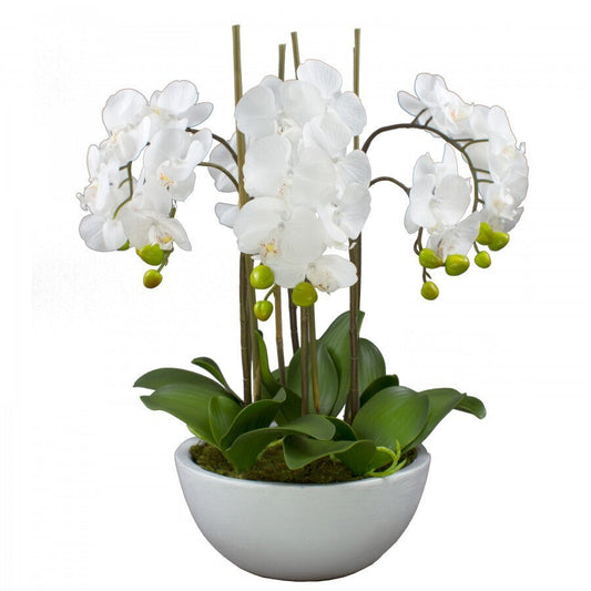 55cm Faux Phalaenopsis Orchid in Pot Artificial Plant Flower Home Office Decor-0