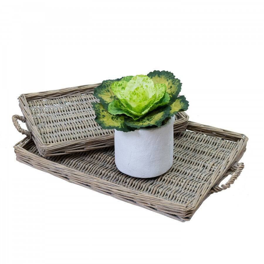 3pcs 19cm Assorted Cabbage Rose in Pot Artificial Plant Flower-3