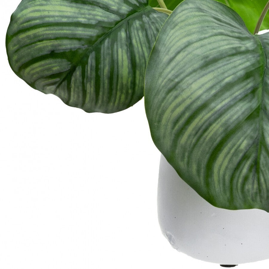 30cm Faux Calathea Bush in Ceramic Pot Artificial Plant Tabletop Flower Décor-2