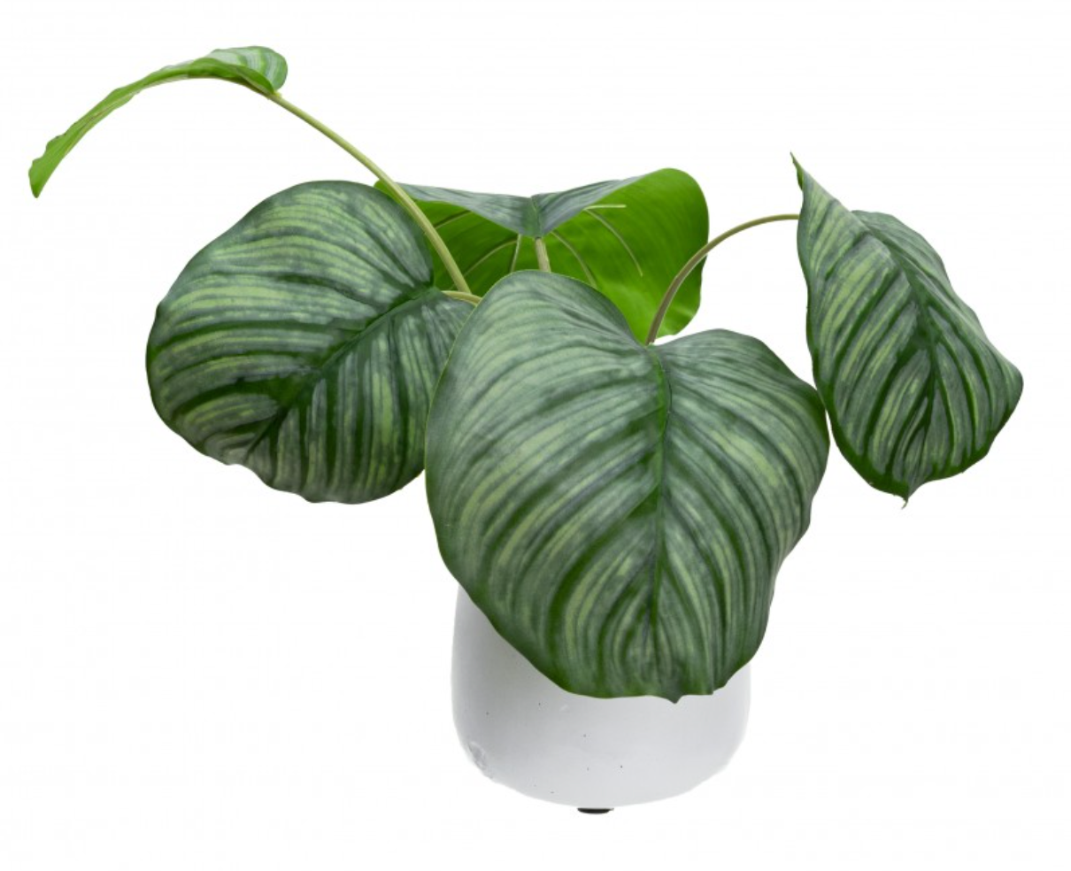 30cm Faux Calathea Bush in Ceramic Pot Artificial Plant Tabletop Flower Décor-1
