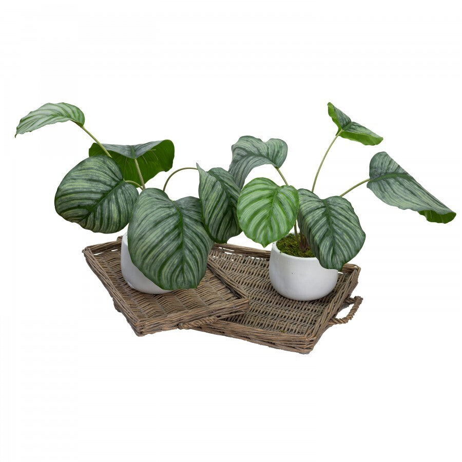 30cm Faux Calathea Bush in Ceramic Pot Artificial Plant Tabletop Flower Décor-3