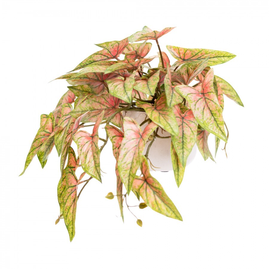 30cm Potted Faux Syngonium Bush in Pot Artificial Flower Plant Green Decor in Red-0