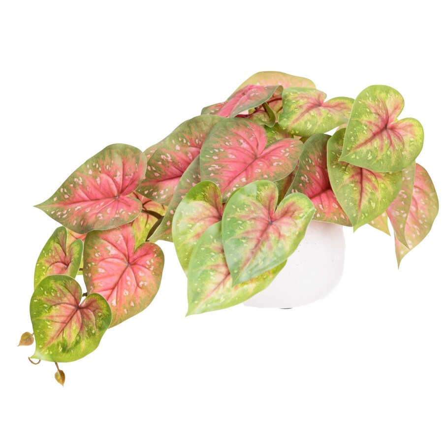 46cm Potted Faux Caladium Bush in Pot Artificial Flower Plant Green Decor in Red/Green-1