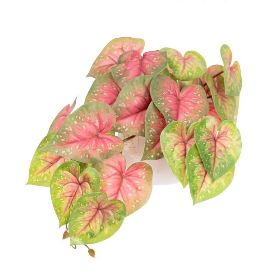 46cm Potted Faux Caladium Bush in Pot Artificial Flower Plant Green Decor in Red/Green-4