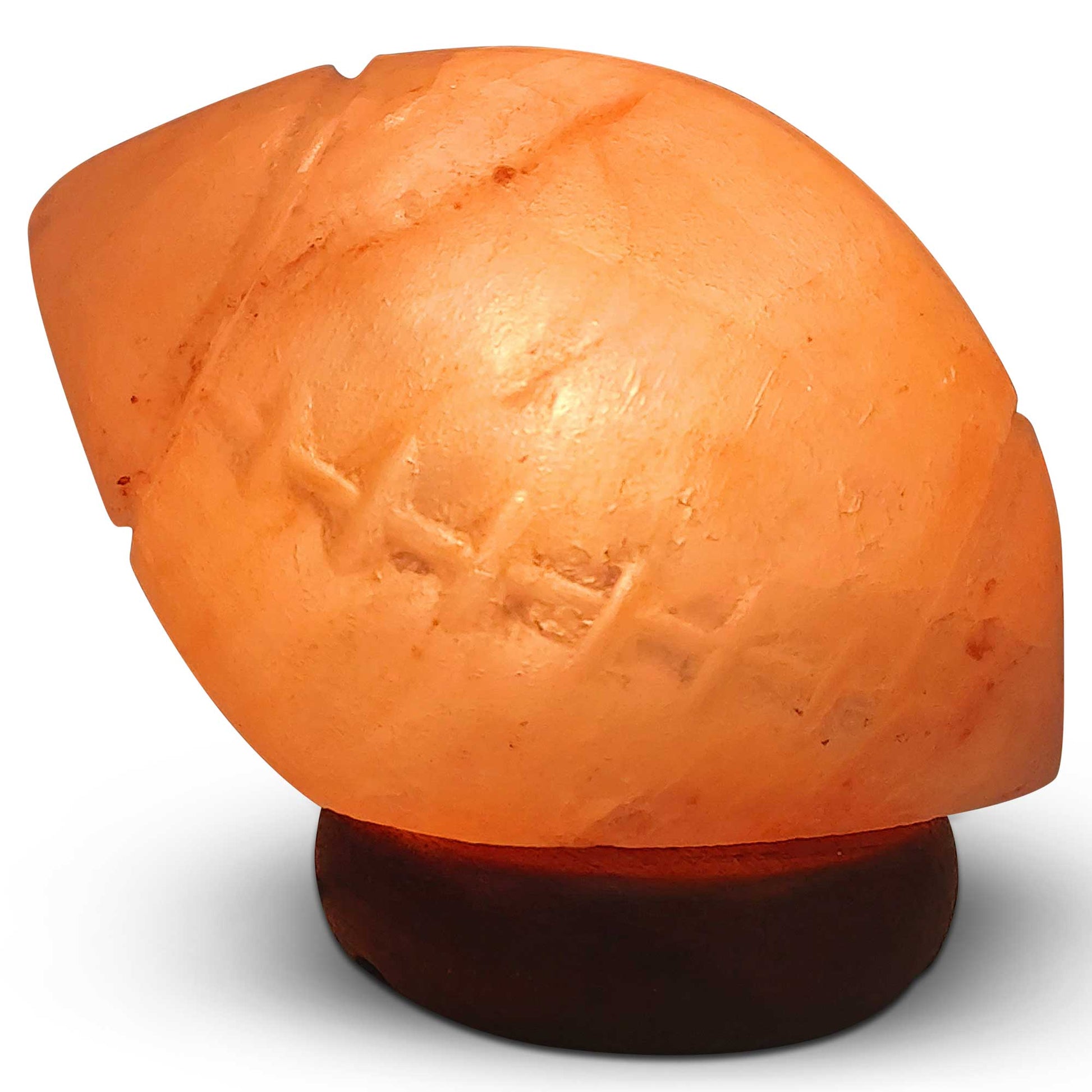 Himalayan Pink Salt Lamp + 12W 12V Switch - Carved Shape Natural Crystal Rock-10