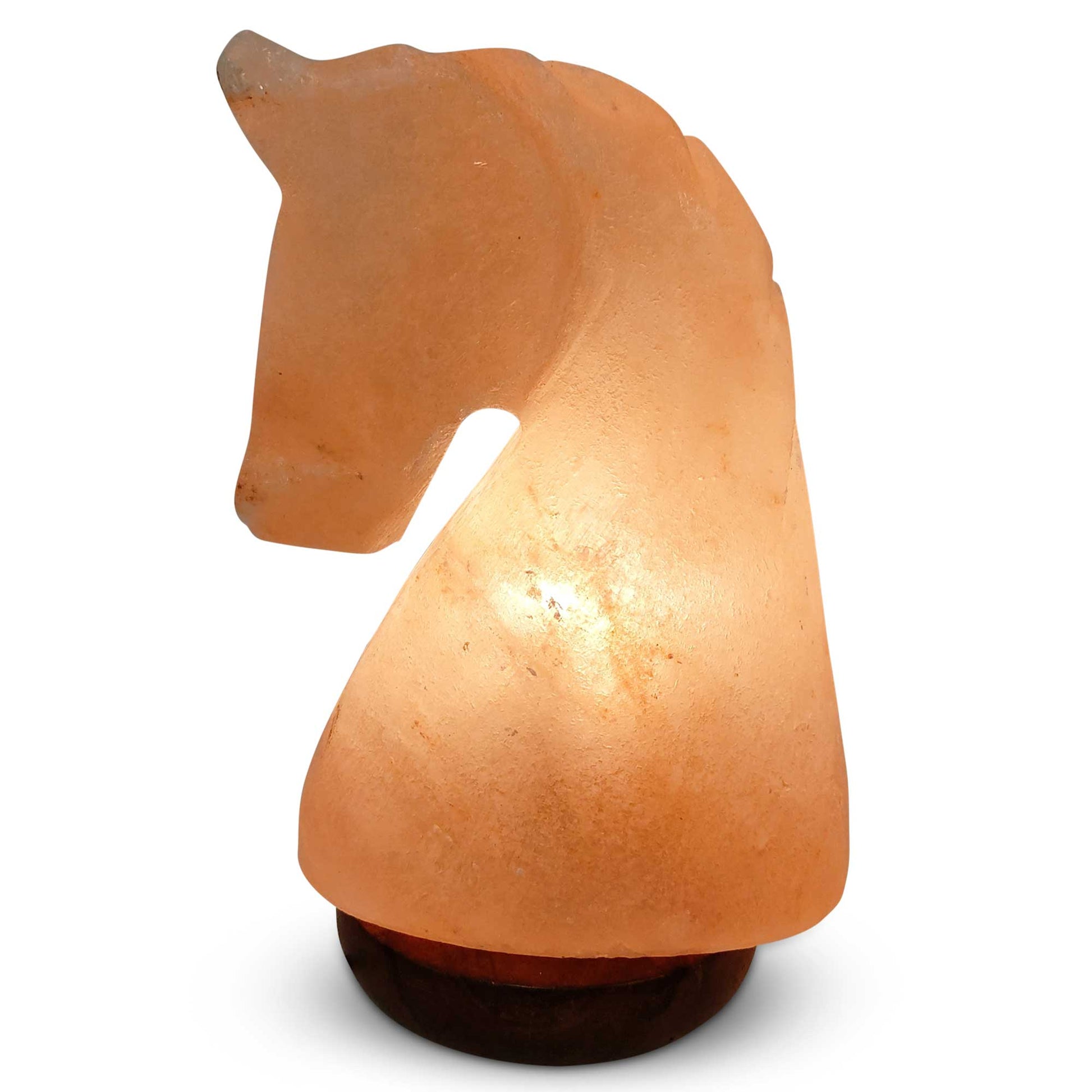 Himalayan Pink Salt Lamp + 12W 12V Switch - Carved Shape Natural Crystal Rock-3