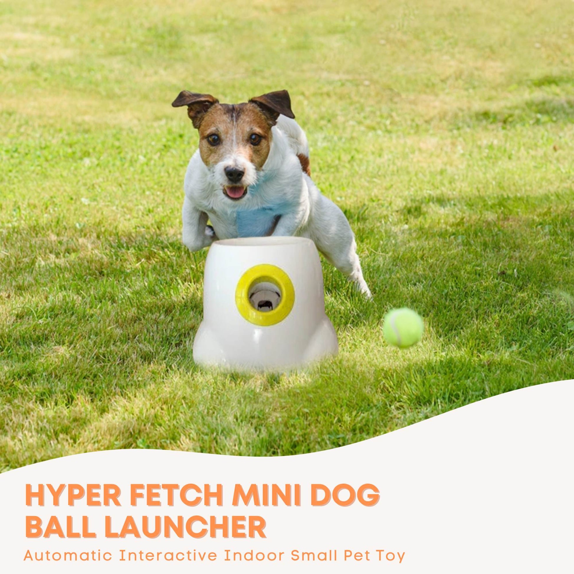 Hyper Fetch Mini Dog Ball Launcher - Automatic Interactive Indoor Small Pet Toy-1