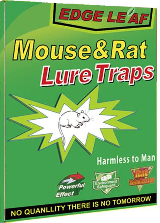 1x Rat Mice Mouse Rodent Bug Cockroach Snare Lure Traps Catcher Sticky Pad
