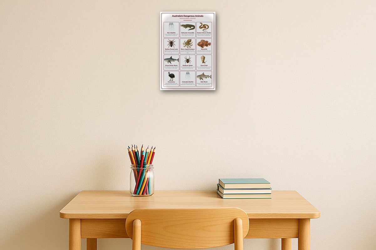 Australia's Dangerous Animals: A4 Matte Laminated Educational Poster Print - 210x297mm