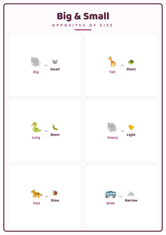 Big & Small: A4 Matte Laminated Educational Poster Print - 210x297mm