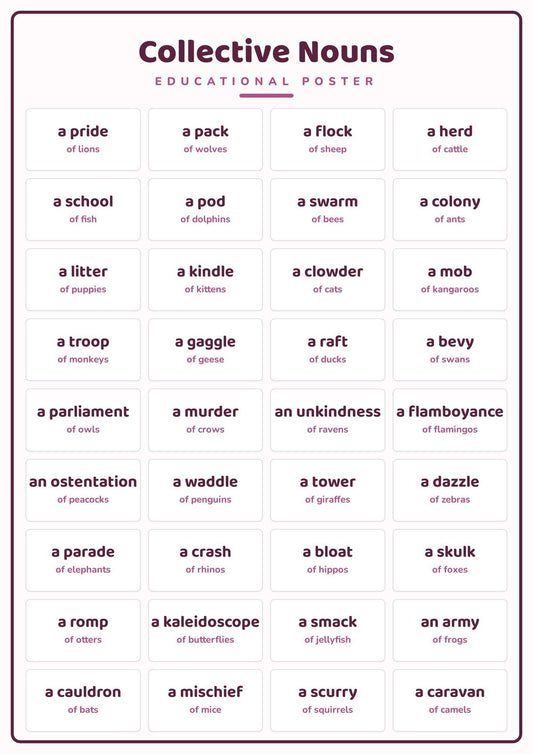 Collective Nouns: A4 Matte Laminated Educational Poster Print - 210x297mm