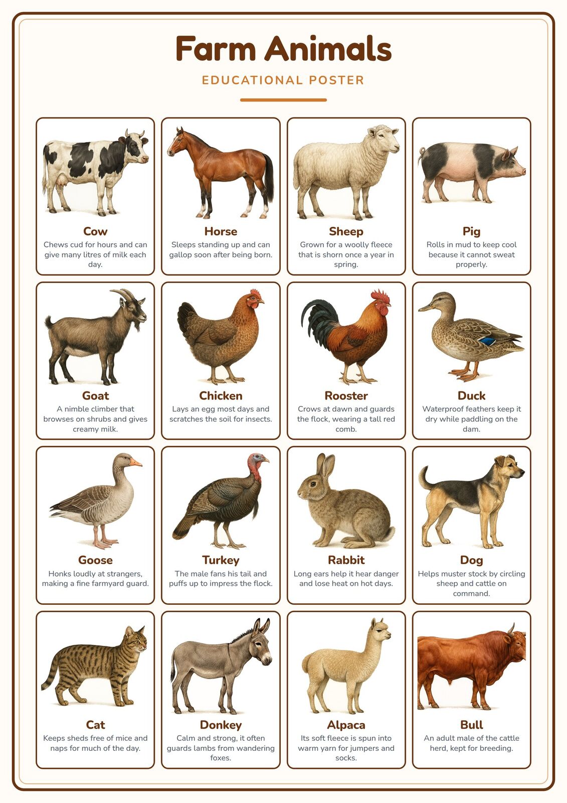 Farm Animals: A4 Matte Laminated Educational Poster Print - 210x297mm