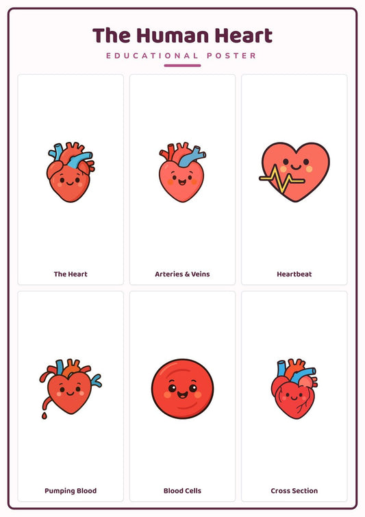 The Human Heart: A4 Matte Laminated Educational Poster Print - 210x297mm