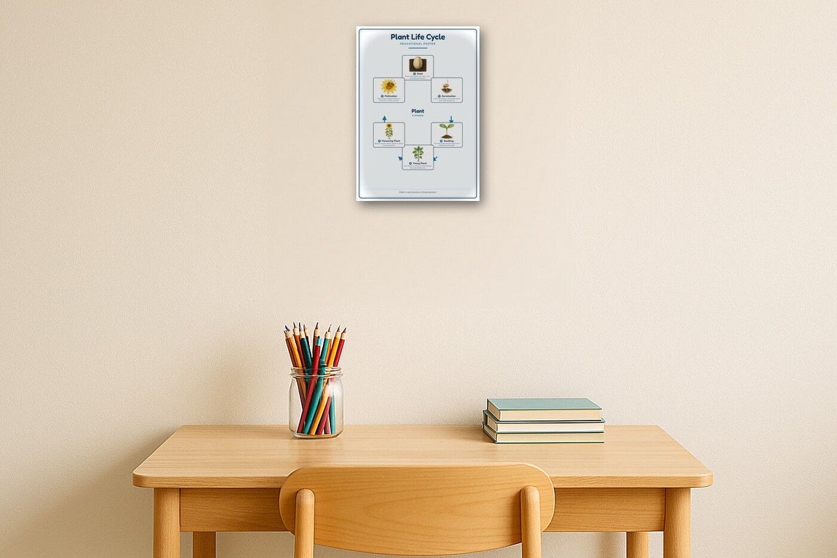 Plant Life Cycle: A4 Matte Laminated Educational Poster Print - 210x297mm