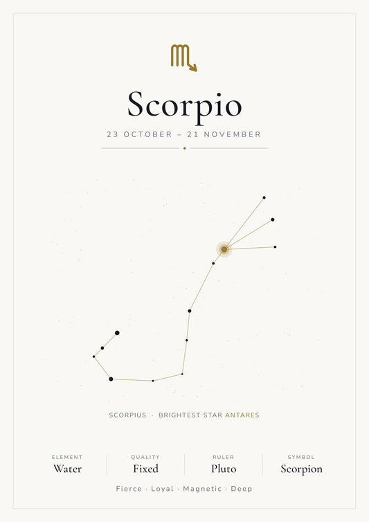 Scorpio Zodiac Constellation White: A4 Matte Laminated Educational Poster Print - 210x297mm