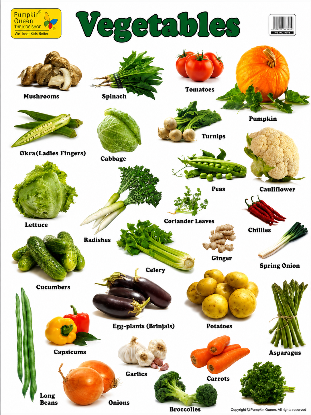 Large "Vegetables" Educational Poster - 73x52cm Size - Portrait (Printed by Pumpkin Queen)