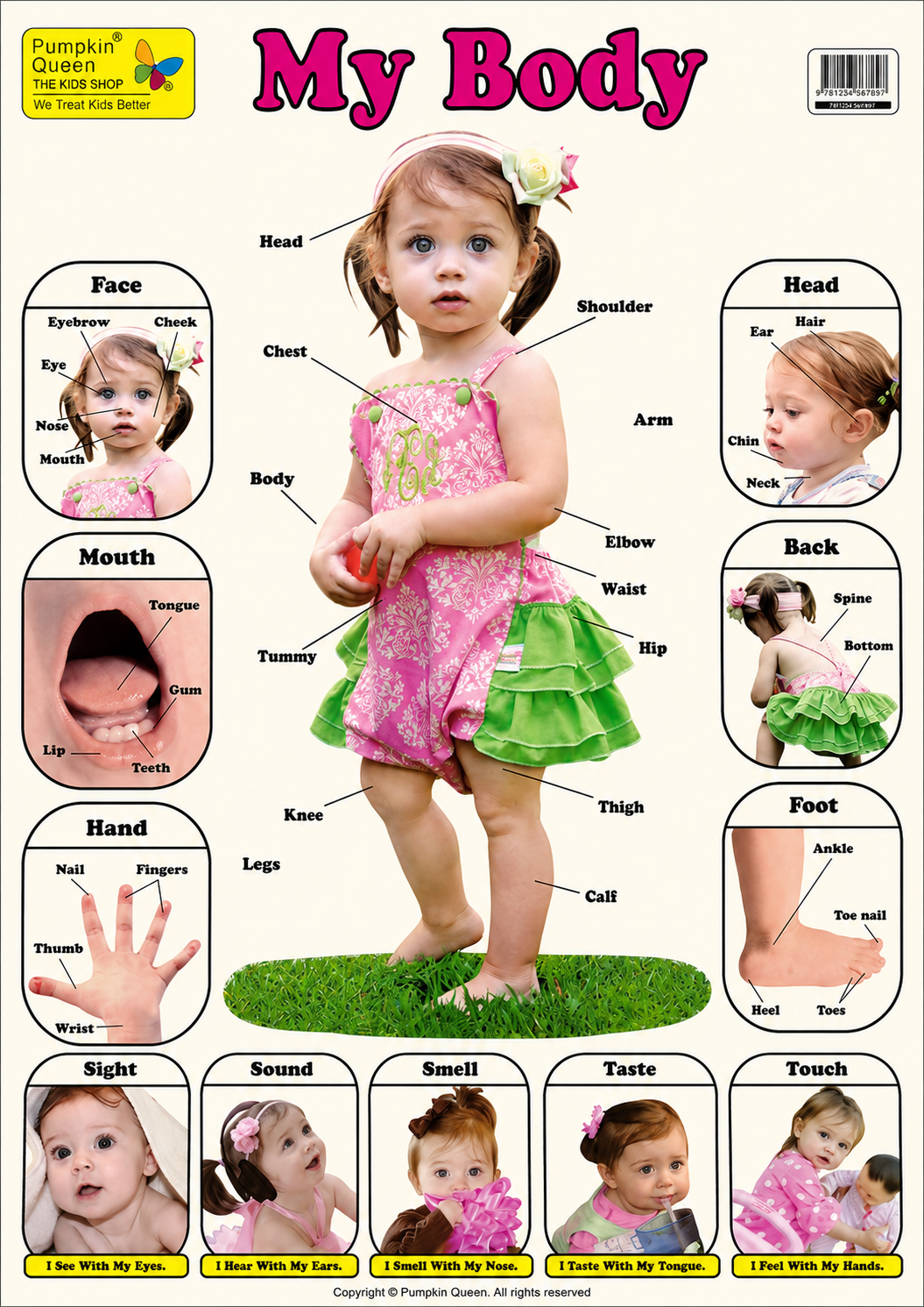 Large "My Body" Educational Poster - 73x52cm Size - Portrait (Printed by Pumpkin Queen)