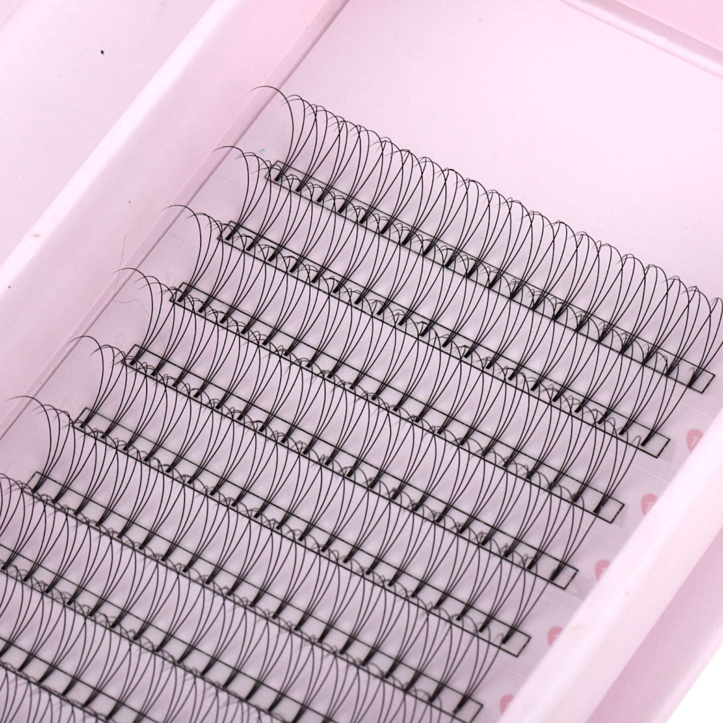 Miosh Eyelash Extensions - 3D Premade Volume Short Stem Eye Lash 0.10 / D CURL-2