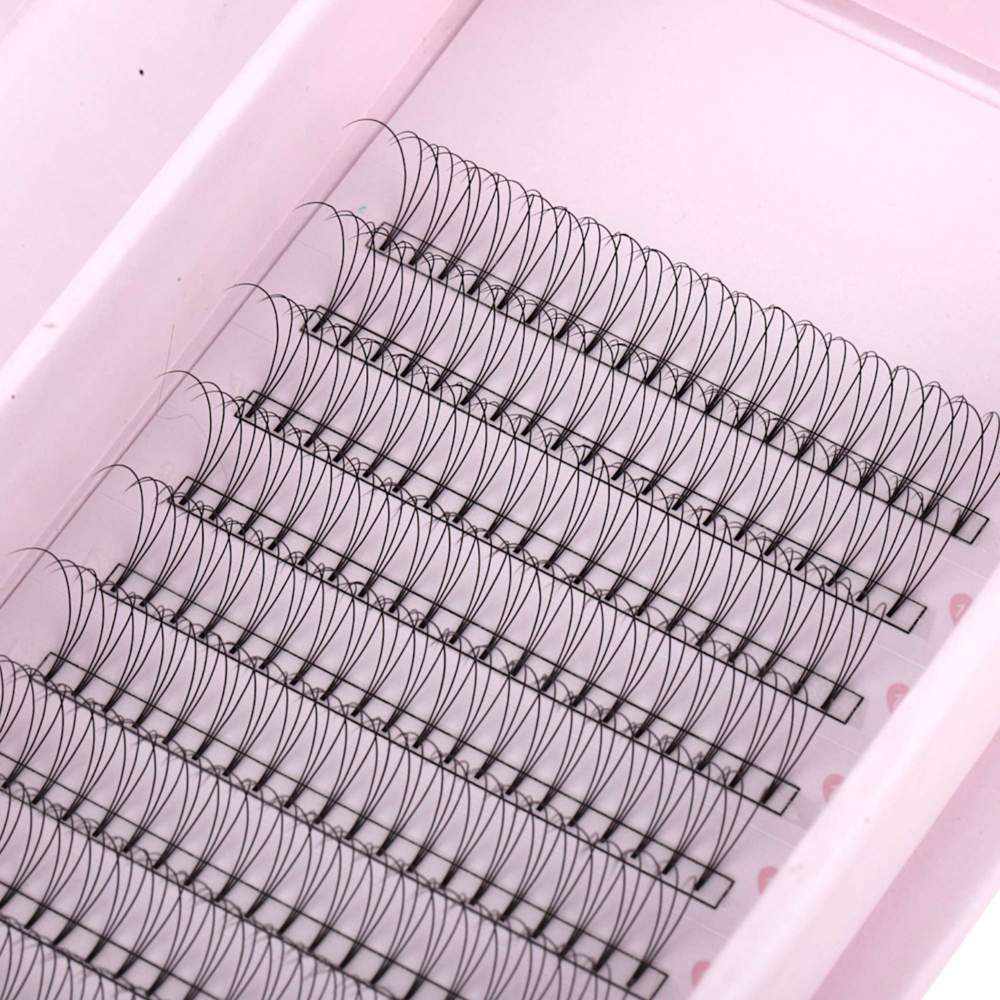 Miosh Eyelash Extensions - 3D Premade Volume Short Stem Eye Lash 0.10 / D CURL-2