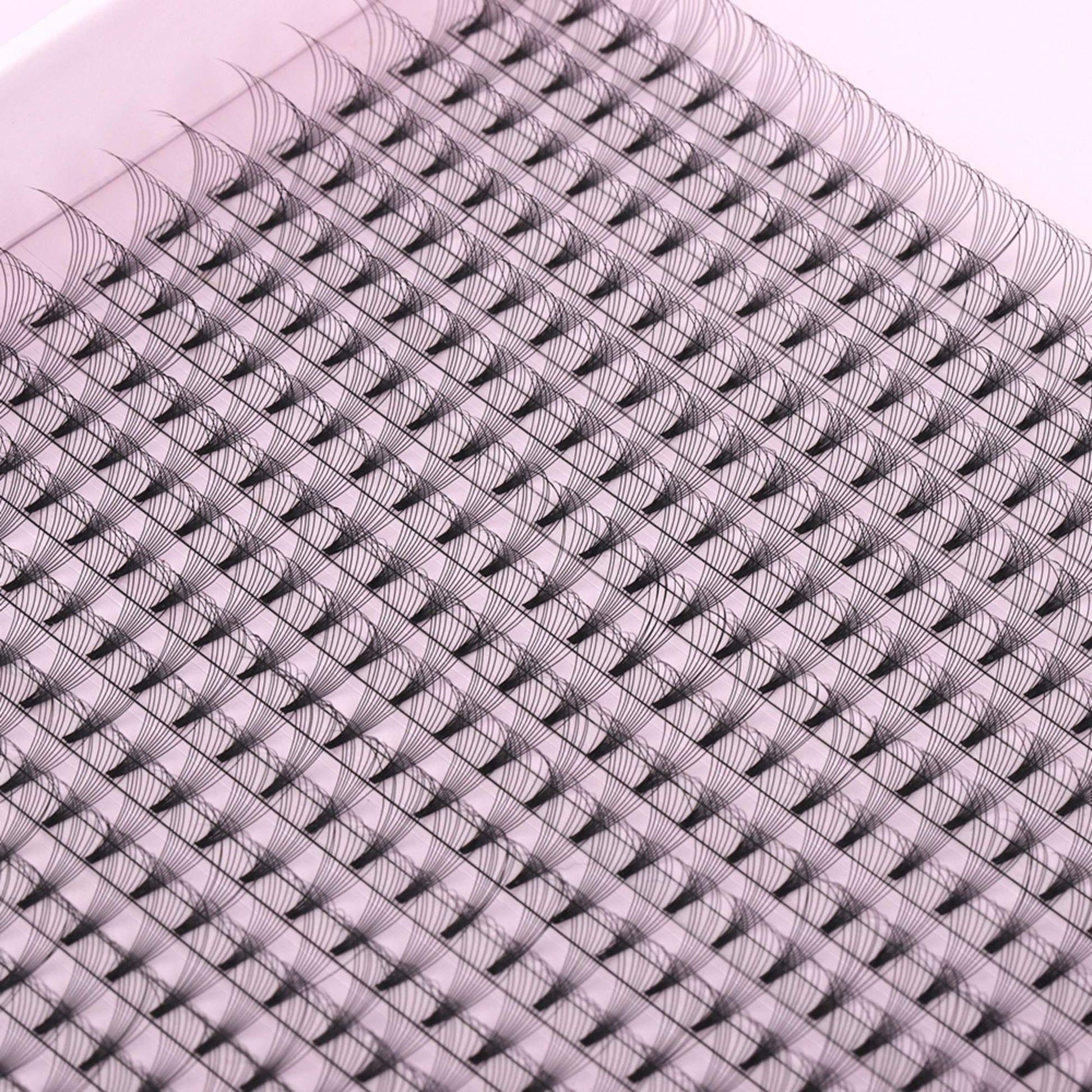 Miosh Eyelash Extensions - XL 10D Premade Volume Short Stem Lash 0.05 / D CURL-2