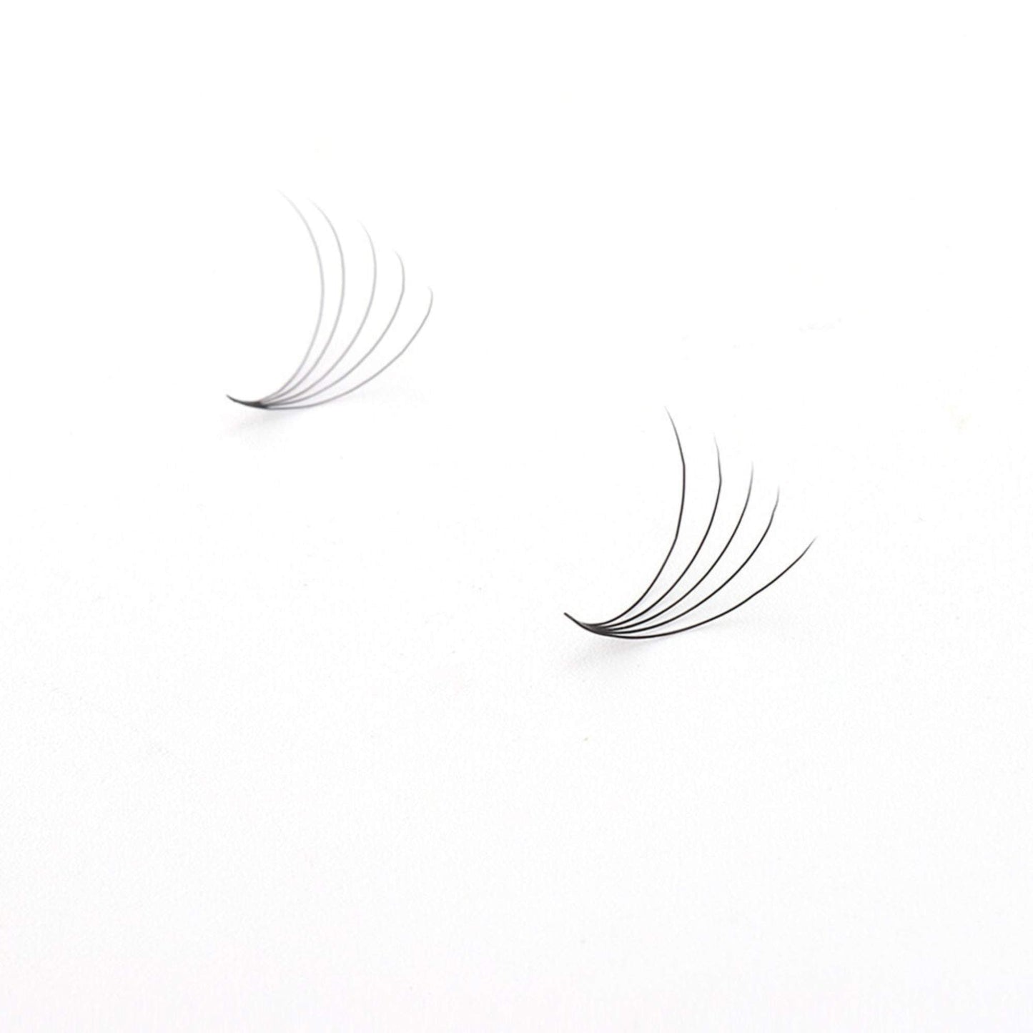 Miosh Eyelash Extensions - XL 5D Premade Volume Short Stem Lash 0.07 / D CURL-1