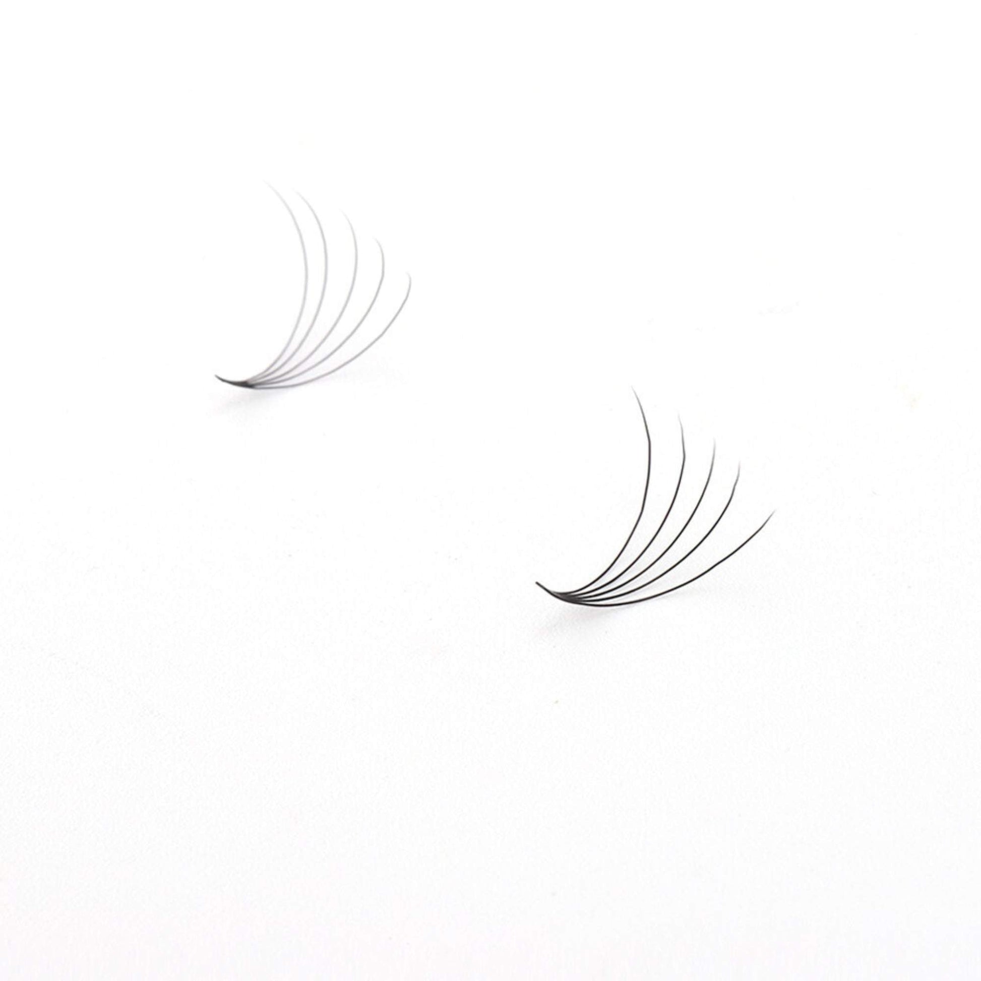 Miosh Eyelash Extensions - XL 5D Premade Volume Short Stem Lash 0.07 / D CURL-1