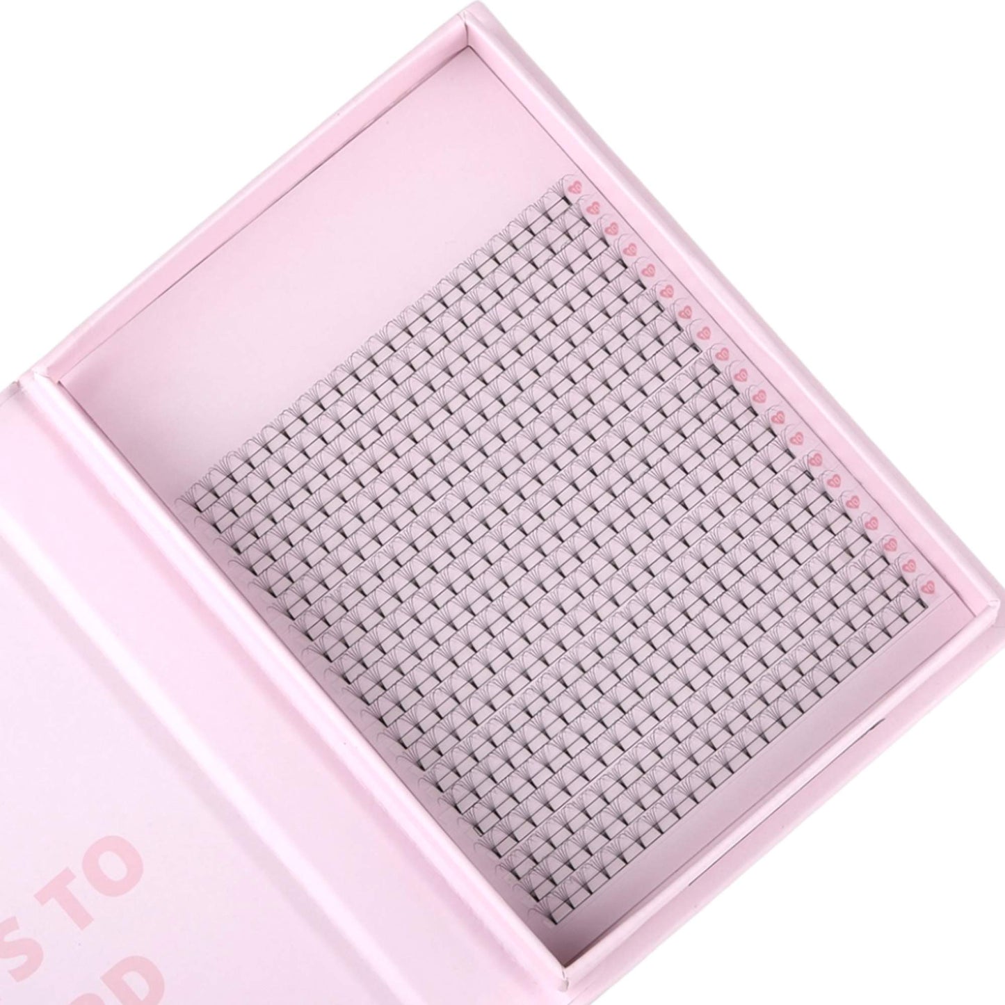 Miosh Eyelash Extensions - XL 5D Premade Volume Short Stem Lash 0.07 / D CURL-2
