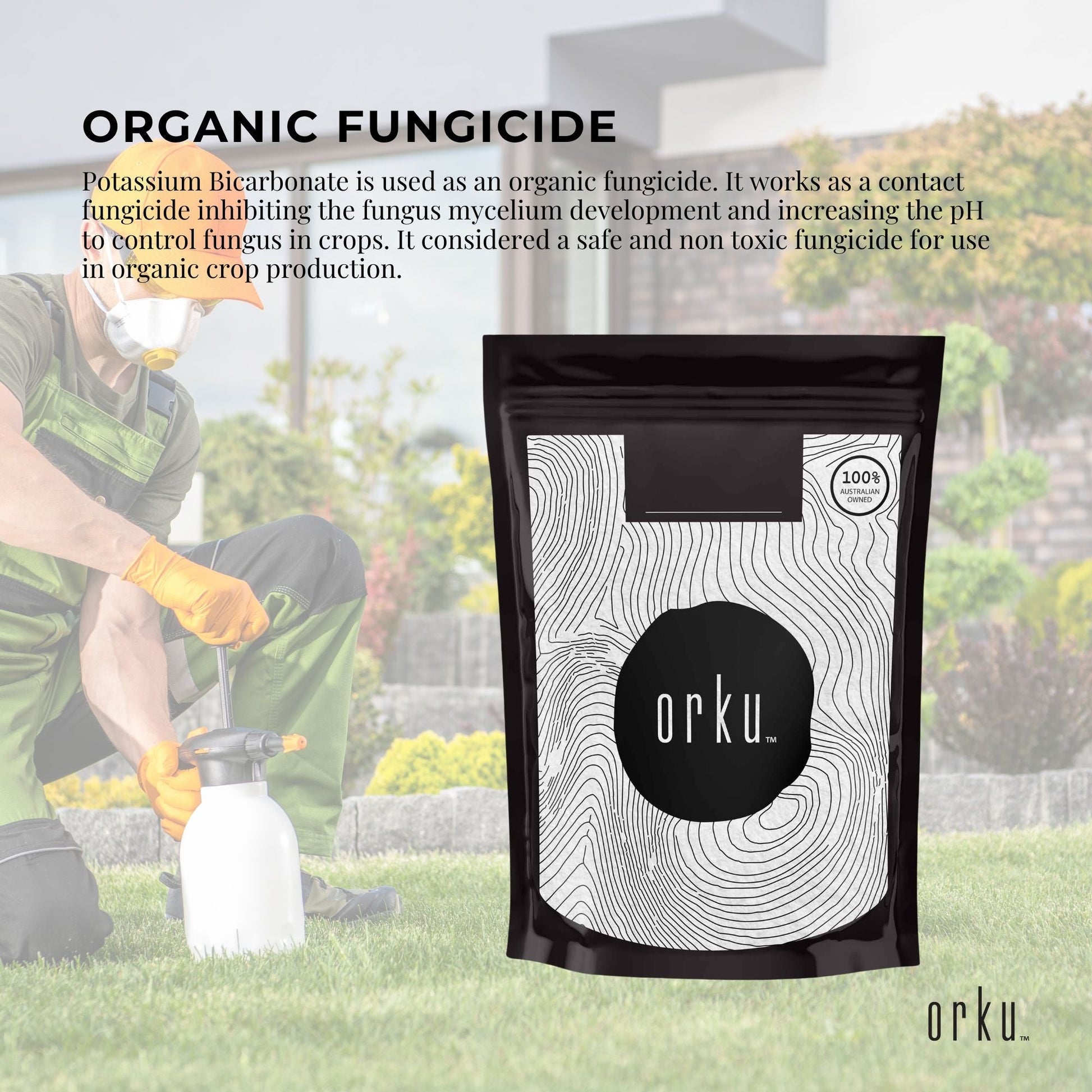 Organic Potassium Bicarbonate Powder - Food Grade FCC for Brewing Baking Bulk-3
