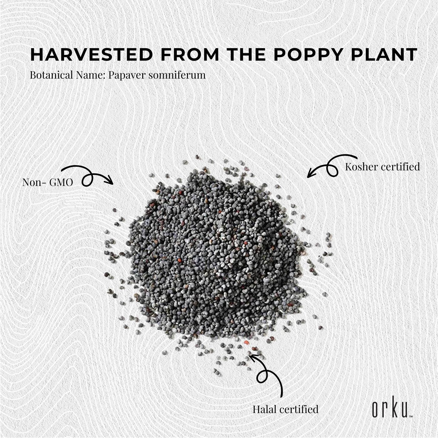 Poppy Seeds Unwashed Papaver Somniferum For Baking and Decorating-4