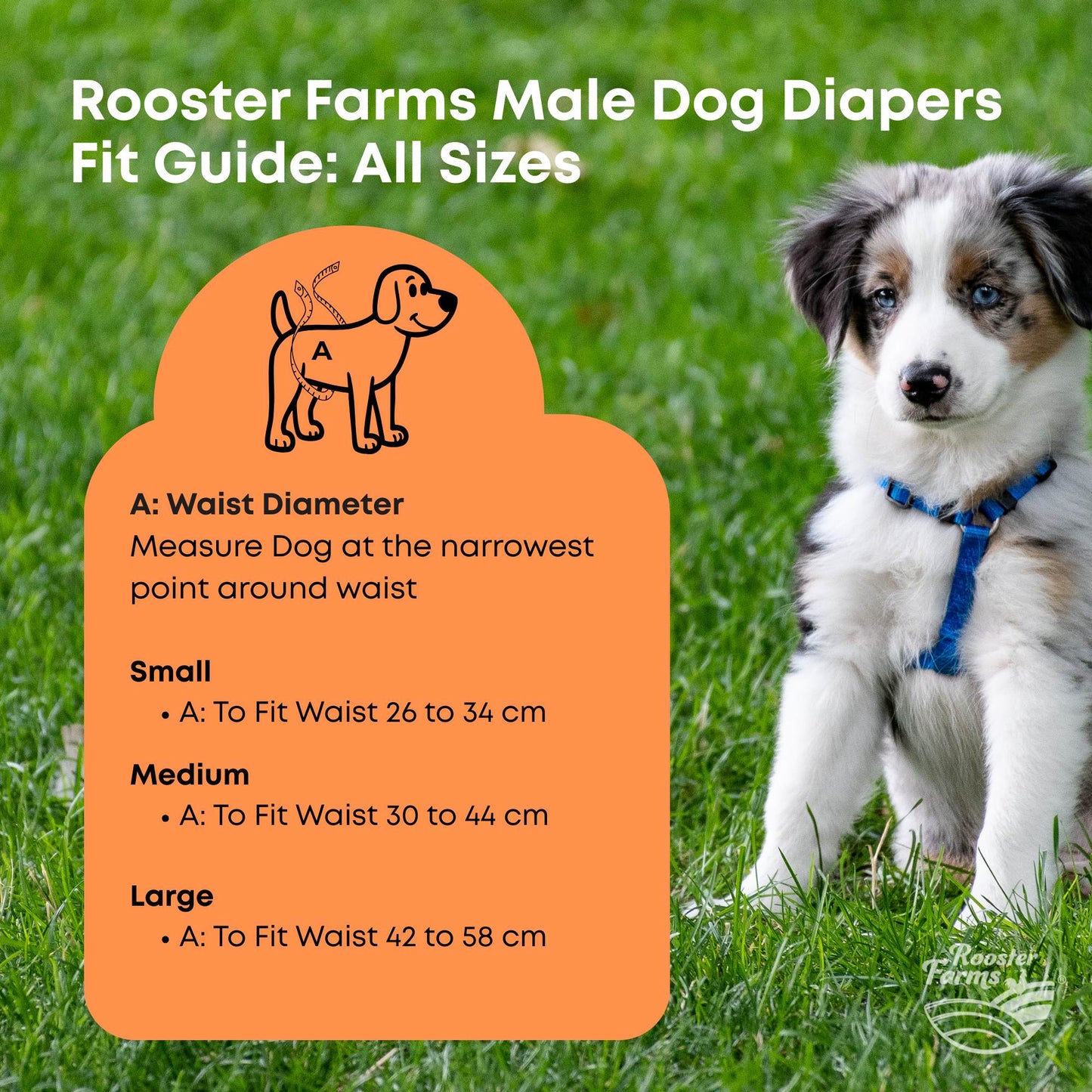 Rooster Farms Male Dog Diapers 3Pk Washable Reusable Nappies Hook + Loop Fit-0