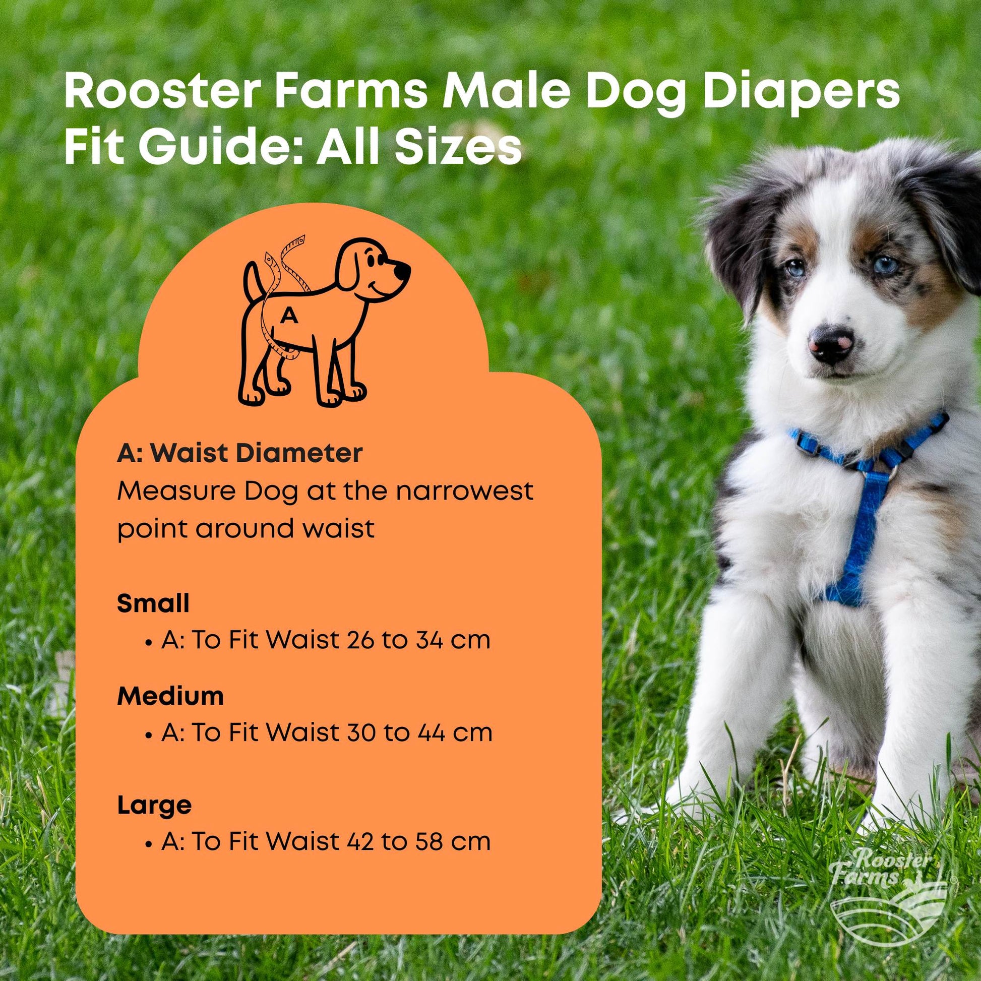 Rooster Farms Male Dog Diapers 3Pk Washable Reusable Nappies Hook + Loop Fit-0
