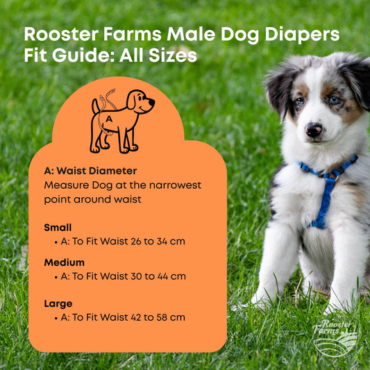 Rooster Farms Male Dog Diapers 3Pk Washable Reusable Nappies Hook + Loop Fit-0