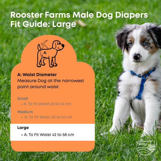 Rooster Farms Male Dog Diapers Large 3Pk - Washable Reusable Nappies Hook/Loop-0
