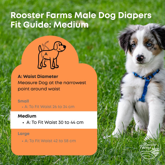 Rooster Farms Male Dog Diapers Medium 3Pk - Washable Reusable Nappies Hook/Loop-0