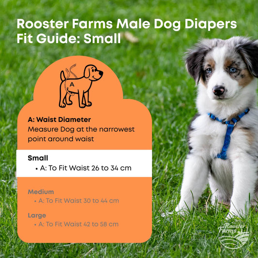 Rooster Farms Male Dog Diapers Small 3Pk - Washable Reusable Nappies Hook/Loop-0